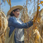 El maíz conquista el e-commerce: emprendedores digitalizan la venta de tortillas